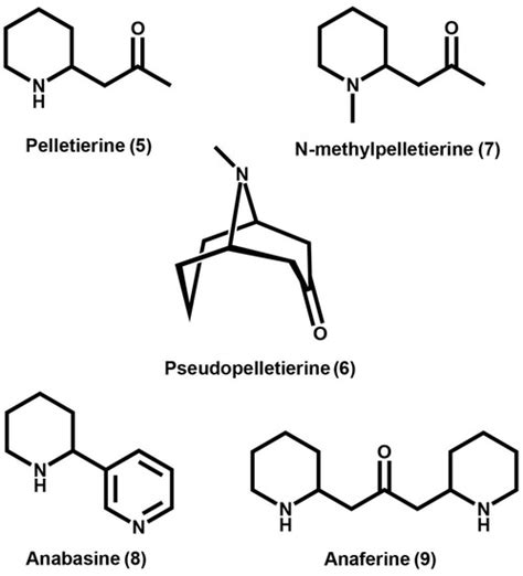 Molecules Free Full Text Tropane And Granatane Alkaloid