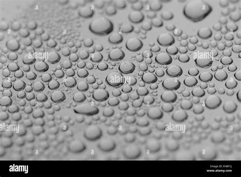 Water Drops In Black and White Stock Photo - Alamy