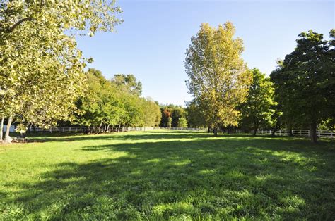 Perfect Home site! 4 Acres of Beautiful Pasture Land! OTM