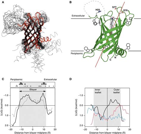 A Superposition Of The PagP Crystal Structure Red With The 20 Lowest