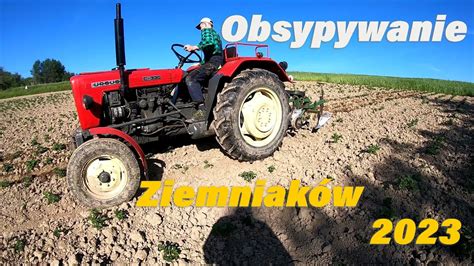 Obsypywanie Ziemniaków 2023 Ursus w akcji C 330 bez kabiny YouTube