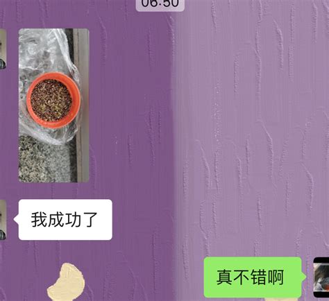 关于分离焦虑的小丁 知乎