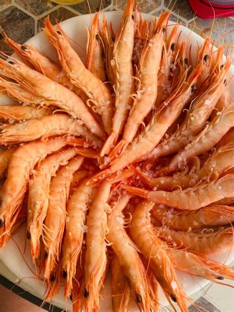 GAMBA COCIDA Compra online las mejores gambas cocidas Envío 24h