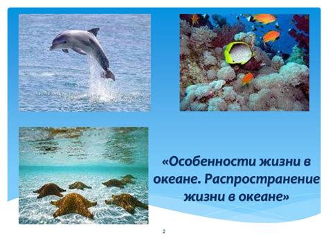 Особенности жизни в океане. Распространение жизни в океане ...