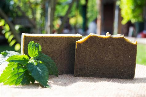 Nettle Goat Milk Soap Natural Soaps Nettle Goat Milk Soap Natural