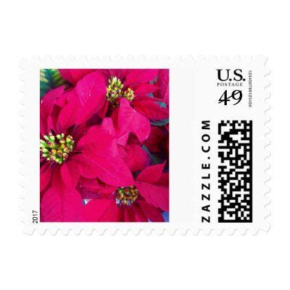 Poinsettias postage stamps - christmas cards merry xmas diy cyo ...