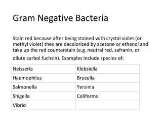 SARA GRAM STAIN PPT PPT