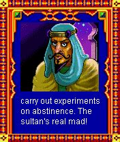 Prince Of Persia Harem Adventures Hardcore Gaming 101