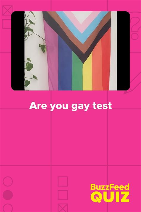 Are You Gay Test