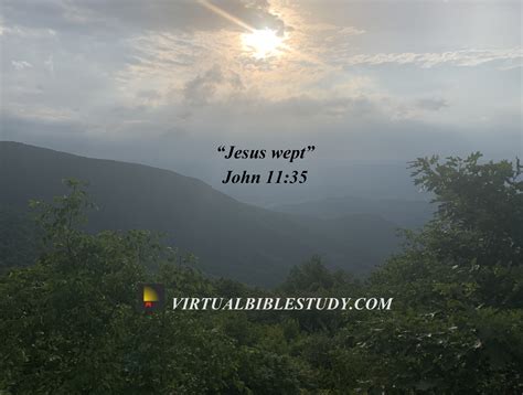 John 11 Lesson - Virtual Bible Study™
