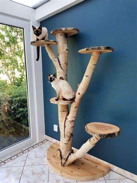 15 Free Diy Outdoor Cat Tree Ideas And Plans