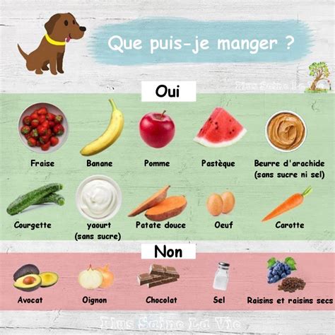 Quels Aliments Peuvent Manger Les Chiens