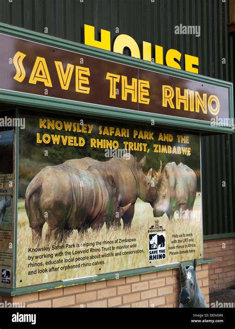 Knowsley Safari Park World Rhino Day September 2013 Save The Rhino