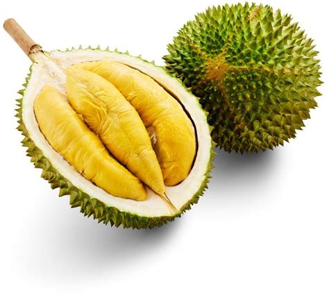 Malaysia Durians Musang King Raub Durians Newleaf Plantation Berhad