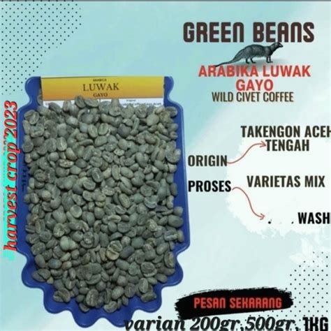 Promo Green Bean Kopi Arabika Luwak Liar Gayo 1kg 500 Gram Kota