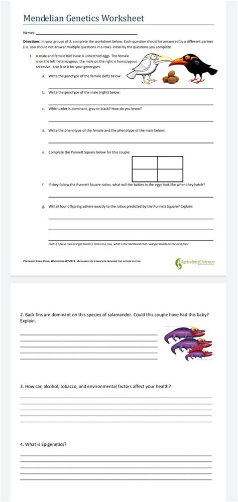 Solved Mendelian Genetics Worksheet Names Directions In Chegg