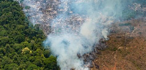 Acre decreta estado de emergência por queimadas na Amazônia