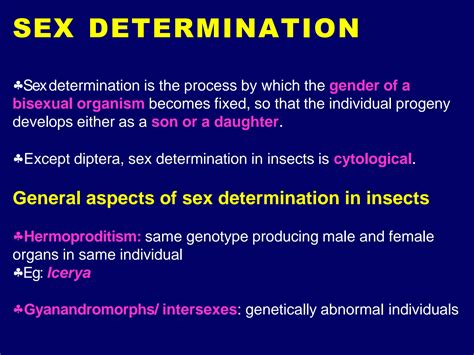 Solution Sex Determination In Insect Studypool