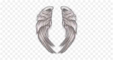 Free Angel Wings Psd Vector Graphic Vectorhqcom Angel Wings Wrapped