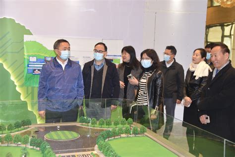 市领导专题调研江门双碳实验室建设工作——把准科研方向、统筹推进实验室建设部门动态江门市人民政府门户网站