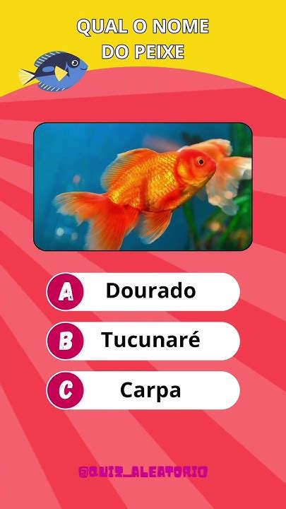 🐠qual O Nome Do Peixe Peixe Qualéopeixe Quizpeixes Youtube