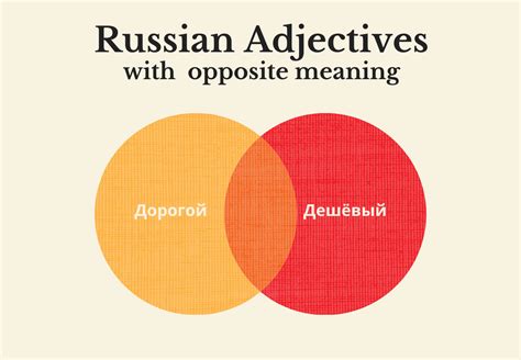 Russian Adjectives With Opposite Meaning On Line School Pa Russki