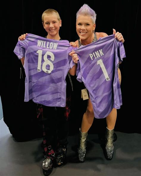 Pinks Lookalike Daughter Willow Is Unrecognizable As She Pursues Her Dream Hello