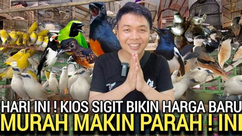 MOHON MAAF BIAR SEMUA BISA BELI BURUNG DI PASAR BURUNG PRAMUKA KIOS