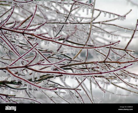 ICE STORM , GLOBAL WARMING Stock Photo - Alamy