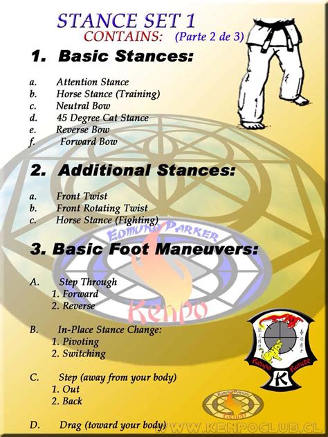 a poster with instructions on how to use the stance set for martial training and conditioning