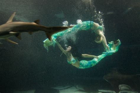 The Mermaids Of Weeki Wachee Springs