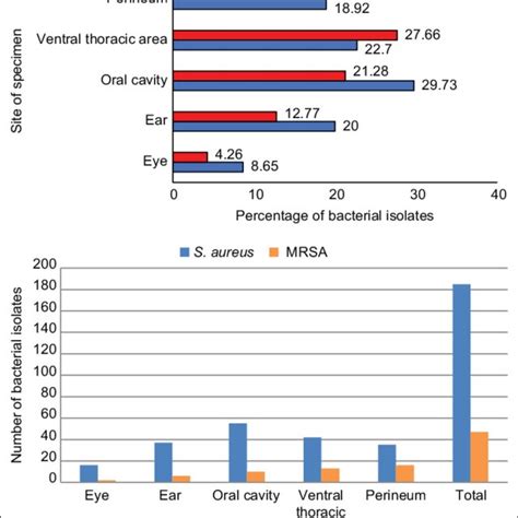 Methicillin Resistant Staphylococcus Aureus And S Aureus Isolated From