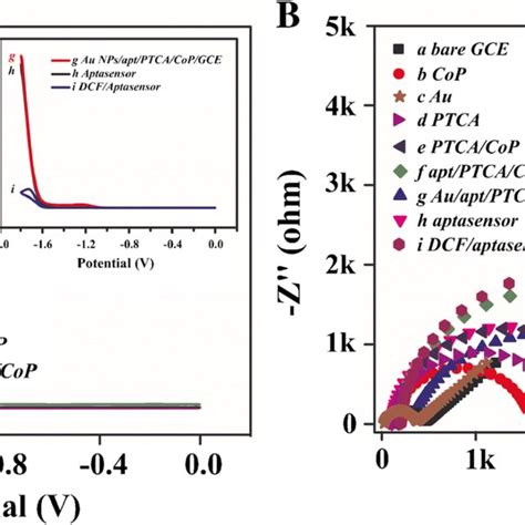 A Ecl Potential Profiles Of And B Eis Of Bare Gce A