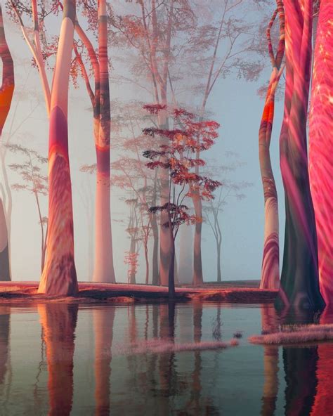 an image of trees in the foggy forest with water and reflections on the ground