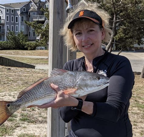 Red Drum On The Outer Banks 52721 Bobs Bait And Tackle