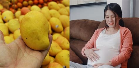 Manfaat Makan Mangga Untuk Ibu Hamil