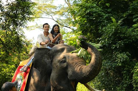 Nikmati Keseruan Elephant Trail Di Taman Safari Bogor Cukup Bayar Segini