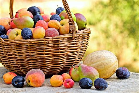 Quel Est Le Fruit De Saison Le Moins Calorique Il Se Consomme Sans