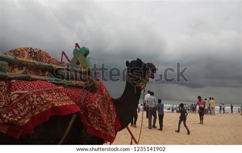 10 Panambur Beach Karnataka Images, Stock Photos, 3D objects, & Vectors ...