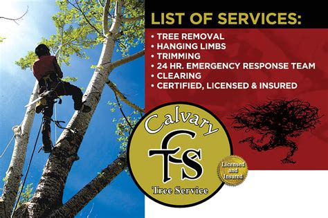 Calvary Tree Service