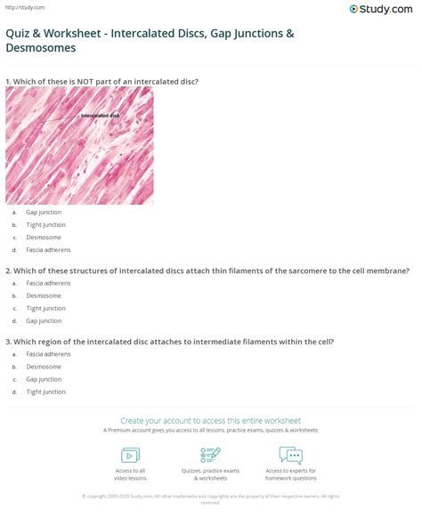 Quiz & Worksheet - Intercalated Discs, Gap Junctions & Desmosomes ...