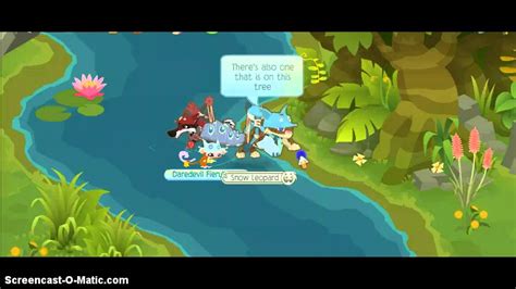 Animal Jam Birds Of Paradise Finder Youtube