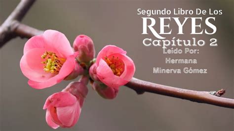 Segundo Libro De Reyes Capitulo Le Do Por Hermana Minerva G Mez