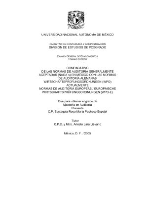 Comparativo De Las Normas De Auditoria Generalmente Aceptadas Naga S