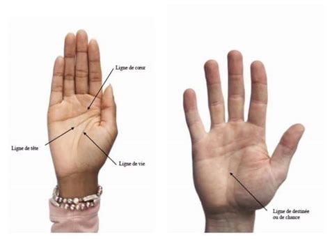 Comment lire les lignes de la main les étapes à suivre