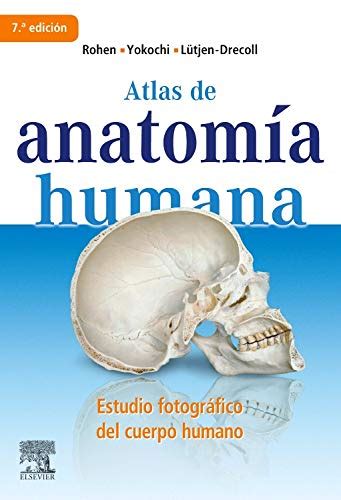 Atlas de anatomía humana estudio fotográfico del cuerpo humano