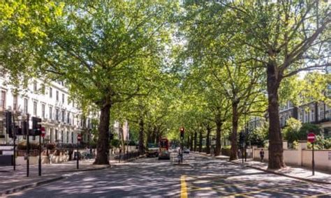 Architecture Trees London