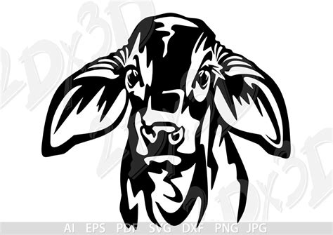 Vector Brahman Calf Head Svg Cow Heifer Ai Eps Pdf Png  Etsy