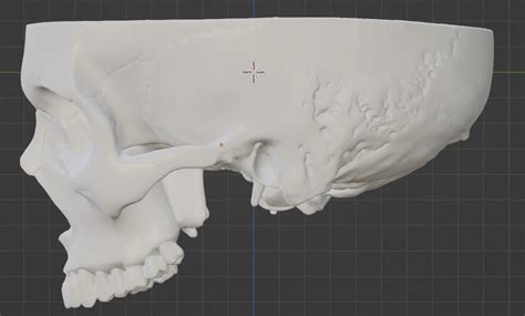 3d Human Skull With Cap And Mandible 3d Model 3d Printable Cgtrader