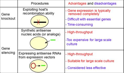 Summary Of Gene Knockout And Gene Silencing Download Scientific Diagram